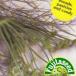  трава. вид a лак маленький пакет ( овощи. вид )