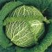  капуста. вид колодка свободный ze( Savoy ) капуста маленький пакет (60 шарик )