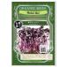  красный редис ростки вид ростки дайкона иметь машина семена фиксация вид greenfield Project A042 огород органический гидропонная культура иметь машина овощи ..tane