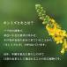 �L���~�Y�q�L��30��  �A�O�����[���ށ@�|���t�F�m�[�� �m���J�t�F�C�� �n�[�u�e�B�[ �e�B�[�o�b�O �֘A�摜1