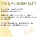 �P���Z�`���z���̔Z�k�J�e�L��60g   �P���Z�`���z���́@�_�C�G�b�g �_�C�G�b�g�� �Β� ���� �֘A�摜1