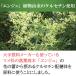 �P���Z�`���z���̔Z�k�J�e�L��60g   �P���Z�`���z���́@�_�C�G�b�g �_�C�G�b�g�� �Β� ���� �֘A�摜2