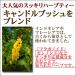 �ł�ł钃30��@�L�����h���u�b�V���E�v�[�A���� ���C�{�X�e�B�[ �n�u�� ���N�� �n�[�u�e�B�[ �֘A�摜2