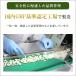 ���Y�ӂ��̂Ƃ��T�v�������g90�� ���{�Y �y�^�V�� �T�v�������g �����V �t�L�m�g�E ���� �ӂ��̂Ƃ� �֘A�摜5