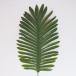 a-tifi автомобиль ru зеленый искусственный цветок cocos nucifera. лист 1 шт общая длина 52cm лист 22.5cm× 27cm лист leaf Hawaiian интерьер 