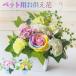 �\�[�v�t�����[ �������ԁ@�y�b�g�p  �� �L ������ �� ������� �͂�Ȃ� ���̋� ���� ���� ����