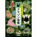 yu... Amazon иллюстрированная книга 
