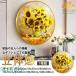 5D �t���_�C�������h�G�� �h�J�L�b�g �r�[�Y�G�� �ǂɓ\��t���[�� DIY���� ���S�� ��l�̎q����������_�C�������h�A�[�g ���� ���蕨