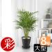�ϗt�A�� �{�� �A���J���V �Z���A�[�g�� 8���� ��^ �u���b�N �z���C�g �ډB�� ���A�ɋ��� ���� ���V�̎�� ���V�� �썑��