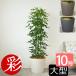 �ϗt�A�� �{�� �z���R���J�|�b�N 10���� �|���X�g�[�����J�o�[�t�� ���풲 �Z�b�g ��^ �����p �C���e���A ������� �ʔ� �l�C