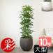 �ϗt�A�� �{�� �z���R���J�|�b�N 10���� �t�@�C�o�[�X�g�[��(����)���J�o�[�t�� �Z�b�g ��^ �����p �C���e���A ������� �ʔ� �l�C