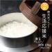  rice . rice musenmai life respondent . rice white rice 10kg 5kg x2 sack 