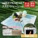 ���W���[�V�[�g ���� �q�� �唻 150x200cm �܂肽���� ����@�Ő􂦂� �h�� �R���p�N�g ��l�p ���W���[�}�b�g �傫�� 8�l ���� �L�����v�}�b�g