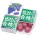 [ absolute eligibility ] eligibility .. associated goods confection examination ma LUKA wa chewing gum 24 piece insertion ( gray p)