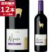 ���C�� �ԃ��C�� wine �������� �T���^�E�w���i�E�A���p�J �J�����l�[��750ml�~12�{