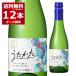  Kiyoshi sake японкое рисовое вино (sake) бесплатная доставка месяц багряник японский . Sparkling Kiyoshi sake ....300ml×1 2 шт (1 кейс )