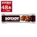 ��ː��� SOYJOY  �A�[�����h���`���R���[�g 30g�~48�{(1�P�[�X)