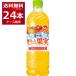 �T���g���[ �V�R�� ������Ɖʎ� �I�����W���}���S�[ 600ml�~24�{(1�P�[�X)