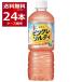 �A�T�q ���������� �V�R�� �s���O���\���e�B 600ml�~24�{�i1�P�[�X�j