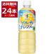 �A�T�q ���������� �V�R�� �\���e�B�O���t�� 600ml�~24�{�i1�P�[�X�j