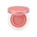 JUNGSAEMMOOL художник подушка brush Корея cosme подушка щеки ARTIST CUSHION BLUSH John semru доставка внутри страны коралл Halo 
