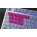 Ź Tai-Hao th-rubber-keycaps-neon-pink-18 ͥԥ ߥ󥰥å 18 Ѹ US
