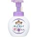 ライオン キレイキレイ 薬用泡ハンドソープ フローラルソープの香り 本体 250mL