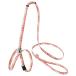 petioCAT HARNESS проверка шлейка с поводком красный 