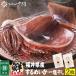  barbecue set seafood dried squid .. dried food 2 sheets preservation charge un- use freezing flight Father's day 