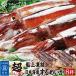  barbecue set seafood BBQ set Japan sea dried squid ..8 cup boat . squid freezing flight Father's day 