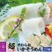 [ economical ] Aomori prefecture production squid vermicelli 20.600~700g[ freezing flight ] Mother's Day Father's day 