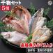  Япония море производство горло .. ввод сушеный продукт комплект 5 вид сохранение стоимость не использование местного производства производство высококлассный подарок набор nodo Glo скумбиря ставрида японская камбала северный однопёрый терпуг подарок 