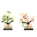  outlet кукла hinaningyo Sakura . одиночный товар цветок .25 номер hakama чёрный покрытие 26a-ya-0521