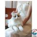  кошка мягкая игрушка подлинный товар целиком настоящий ... ручная работа ручная работа добрый .. настоящий . внешний вид .. она ребенок . год .. день рождения удобный легкий в использовании . починка простой 
