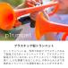 pTrumpet �s�[�g�����y�b�g �v���X�`�b�N���g�����y�b�g�kpBone music pInstrument p�g�����y�b�g �v���X�e�B�b�N�y�� ���t�y �u���X�o���h�l �֘A�摜1