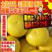  земля . помело ... для превосходящий товар красивый средний шар 2L~L размер 5kg Kochi производство Okinawa материк . Hokkaido. доставка отдельно вся страна. отдаленный остров отправка не возможно 