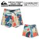 QUIKSILVER( Quick Silver )SURFSILK STRAIGHT VOLLEY 17NB мужской 2025 весна лето модель спортивные шорты EQYJV04131