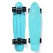 PENNY skateboard(pe колено скейтборд )22inch CLASSICS ATOMIC MINT