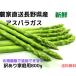  Nagano prefecture production asparagus with translation . home use M~3L and more mixing 800g