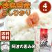 . мир 8 год производство Tokushima префектура производство . волна. .. рис .....4kg 2kg×2 пакет бесплатная доставка День отца подарок на Bon Festival 