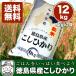 令和元年産　四国徳島のお米！徳島県産コシヒカリ白米 12ｋｇ（6kg×2袋） 【送料無料】※北海道、沖縄及び離島は別途発送料金が発生します