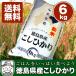 令和元年産　四国徳島のお米徳島県産こしひかり ６ｋｇ（増量）お得パック 白米【送料無料】※北海道、沖縄及び離島は別途発送料金が発生します