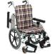 ( сосна . завод ) AR-911S помощь тип инвалидная коляска compact semi модуль низкий пол пара .. маленький рисунок . person предназначенный 