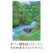  10 день блок город каталог подарок ( no. 14 версия ) в коробке подарок .. Niigata префектура 10 день блок город 