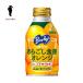【賞味期限：2019年4月末】アサヒ バヤリース あらごし食感オレンジ 280gボトル缶×24本入 Bireley's