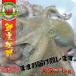  Akashi. . большой осьминог 1kg Seto внутри море производство 