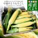  Yamanashi prefecture .. direct delivery from producing area JA.... middle road north main place is possible to choose corn ( Gold Rush,....) approximately 5 kilo 2L size (12 pcs insertion ) free shipping cool flight 