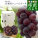  Okayama префектура производство личный автомобиль новый pio-ne примерно 1 kilo (2.) бесплатная доставка виноград вид нет чёрный виноград серый p