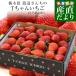  Tochigi prefecture .. direct delivery from producing area Watanabe san .. T Chan strawberry (.....) 500g and more (L from extra-large : don't fit ). strawberry strawberry strawberry free shipping cool flight shipping 