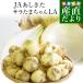  Kumamoto prefecture .. direct delivery from producing area JA.... Sara Tama Chan LA size approximately 5 kilo (15 sphere rom and rear (before and after) ) free shipping onion tama welsh onion Sara sphere .. Tama ..tama